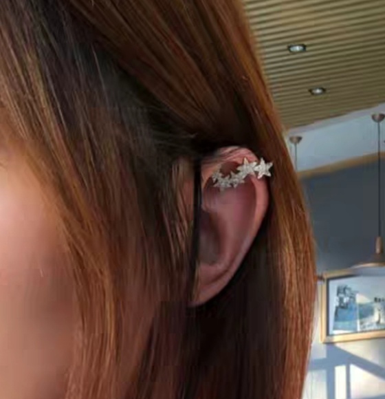 Jewelry - " Stars" Earrings